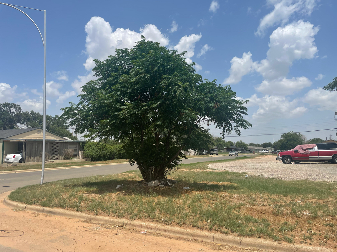 3701 Avenue E Lubbock, TX 79404
