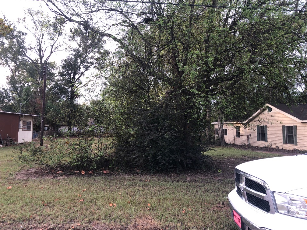 108 Vesta Street Longview, TX 75602 photo 3