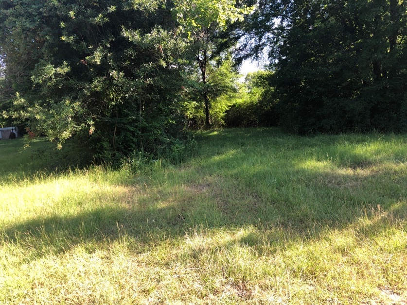 115 Richardson Drive Longview, TX 75602 photo 2