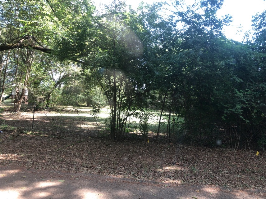 302 South Lane Wells Drive Longview, TX 75604 photo 3