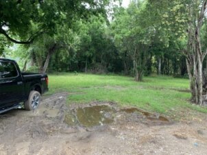 1007 Clark Street Seguin, TX 78155