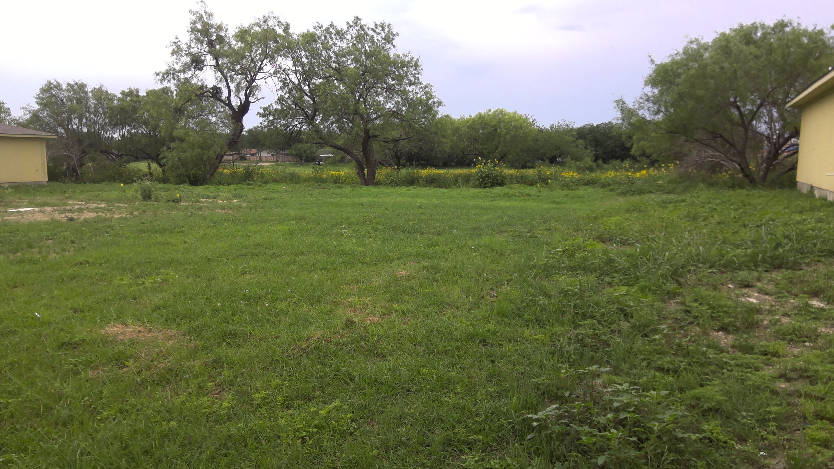 8215 Rain Dance San Antonio, TX 78242 photo 2