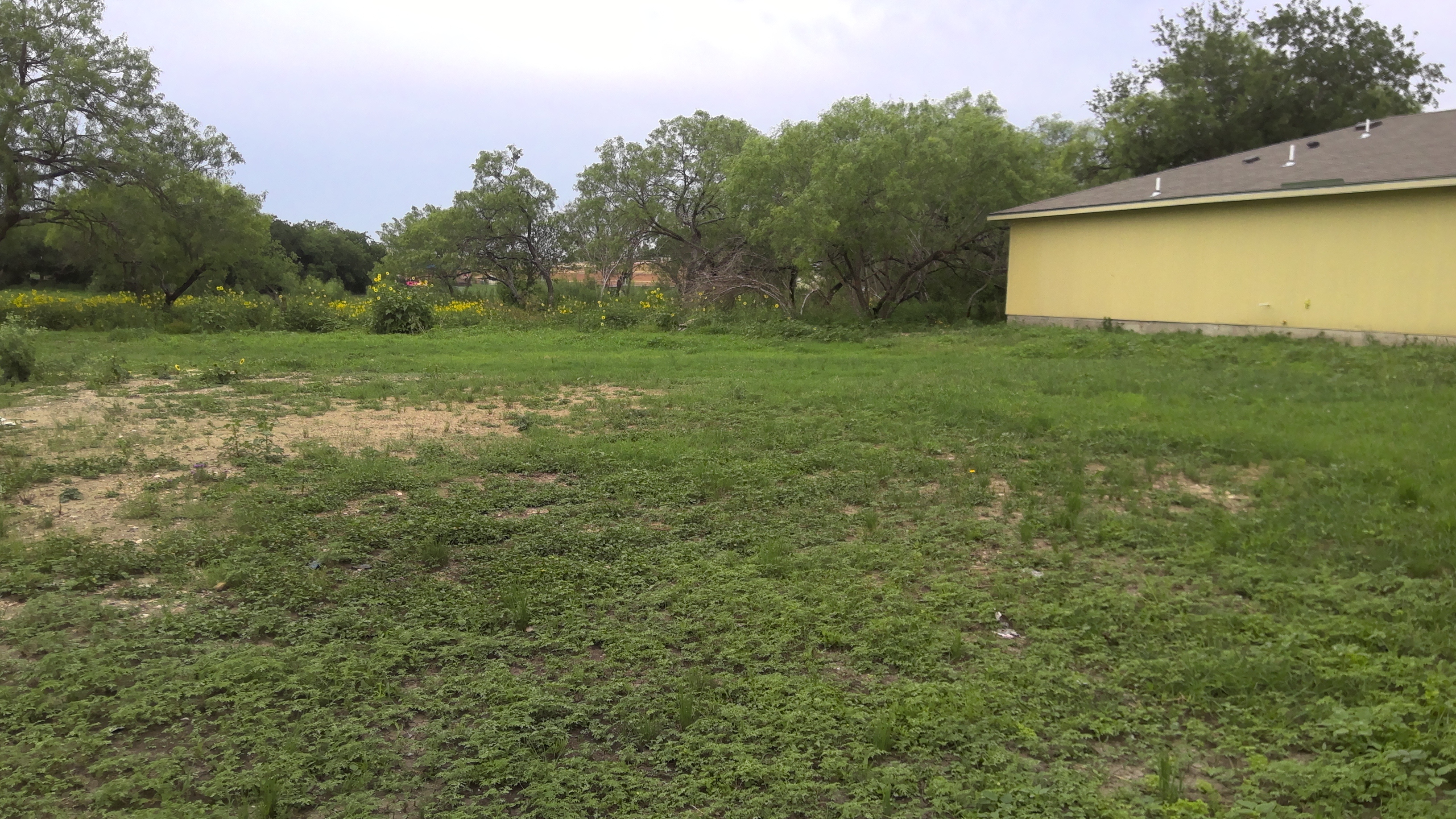 8215 Rain Dance San Antonio, TX 78242 photo 5