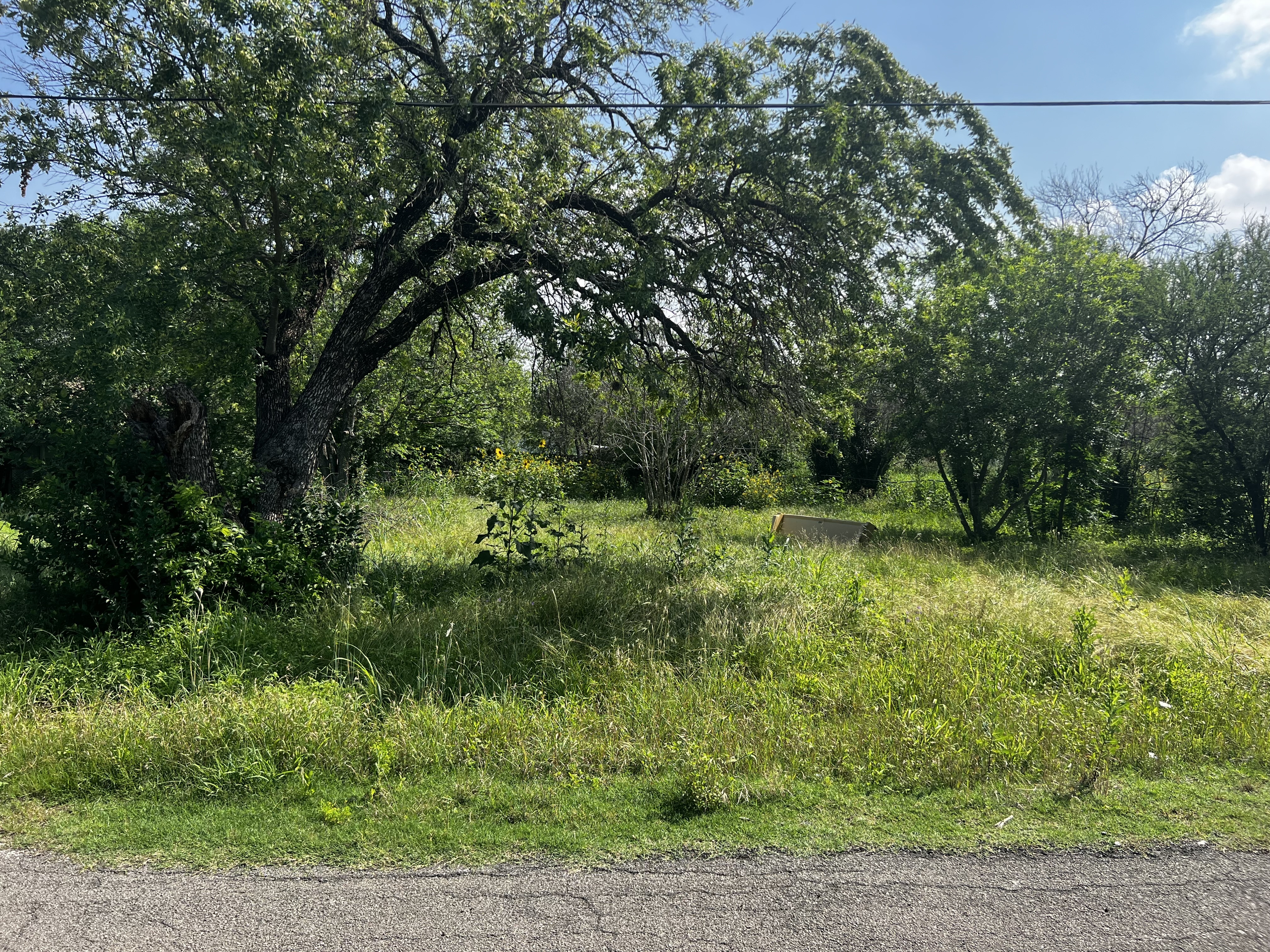 438 Hampton Street San Antonio, TX 78220 photo 4
