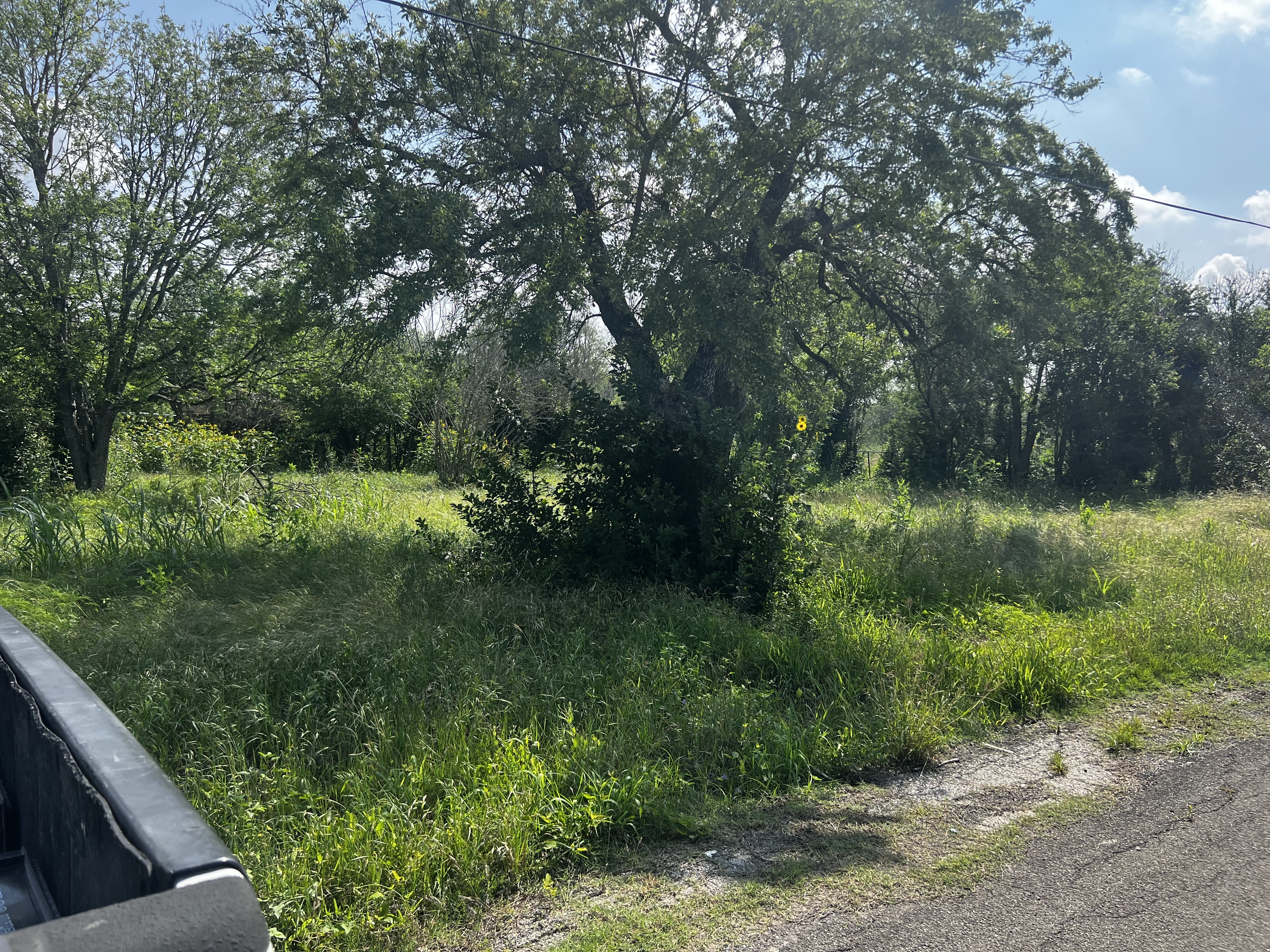 438 Hampton Street San Antonio, TX 78220 photo 6