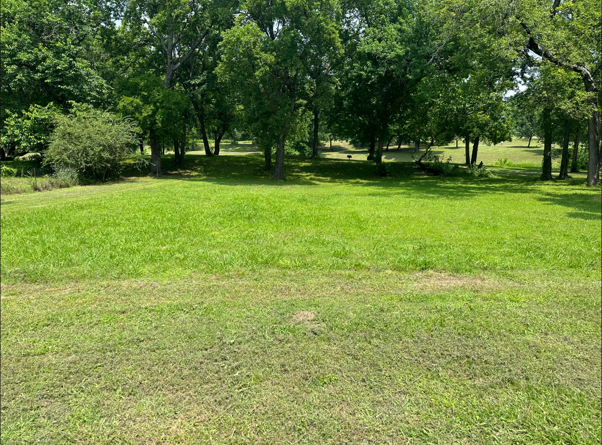 702 South 6th Street Bonham, TX 75418 photo 2