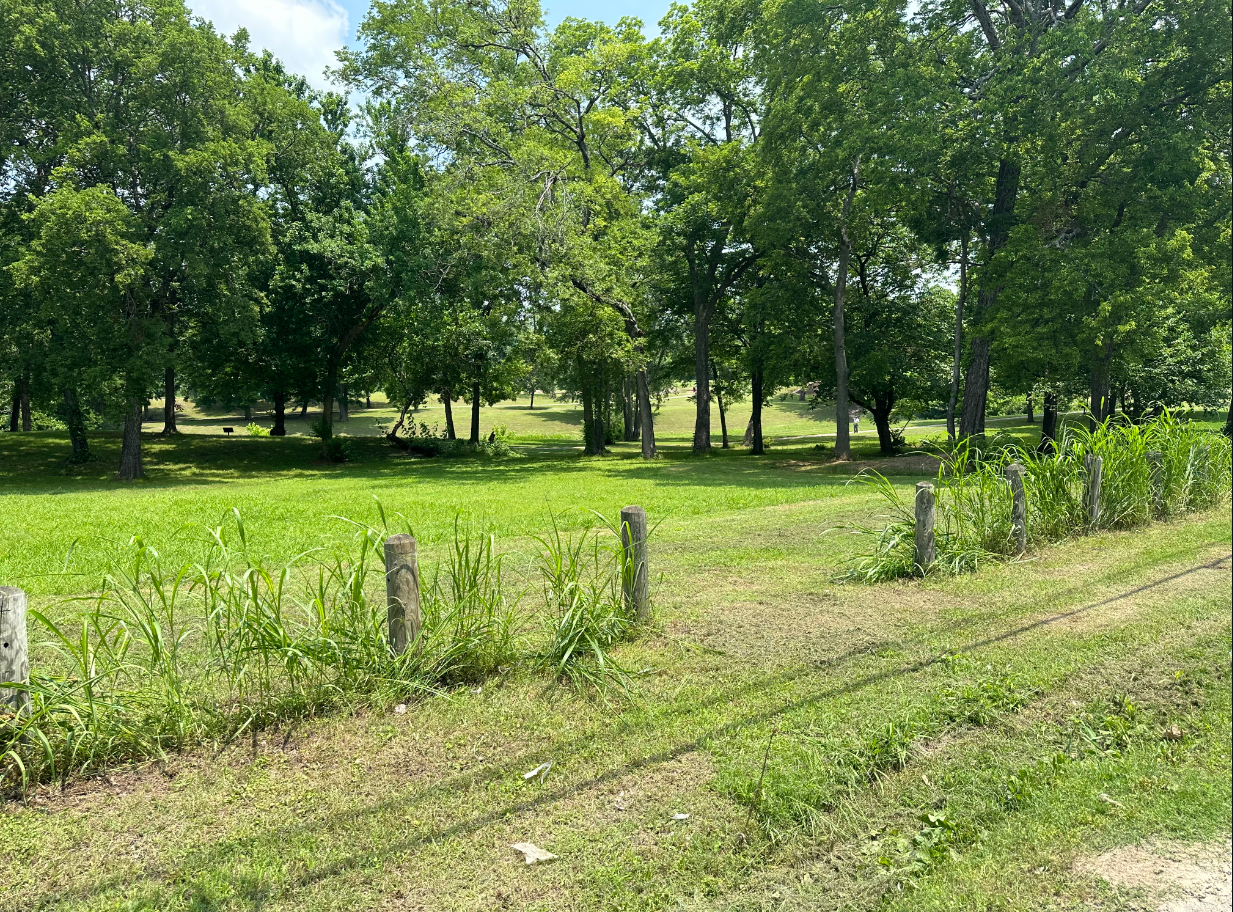 702 South 6th Street Bonham, TX 75418 photo 3
