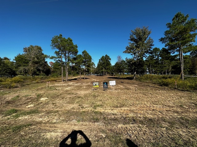 Legacy Shores lot 21 3142 SHADOW PINE DR Larue, TX 75770 photo 2