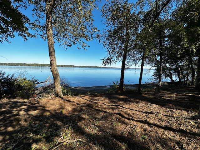 Legacy Shores lot 21 3142 SHADOW PINE DR Larue, TX 75770