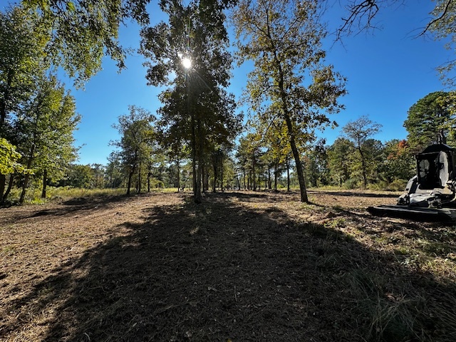 Legacy Shores lot 21 3142 SHADOW PINE DR Larue, TX 75770 photo 3
