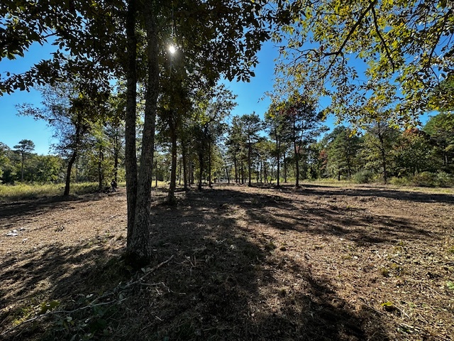 Legacy Shores lot 21 3142 SHADOW PINE DR Larue, TX 75770 photo 5