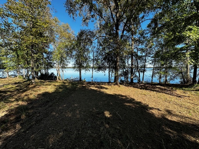 Legacy Shores lot 21 3142 SHADOW PINE DR Larue, TX 75770 photo 4
