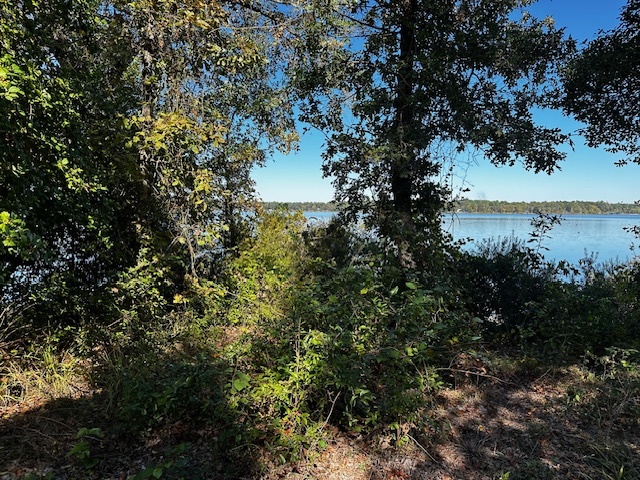 Legacy Shores lot 21 3142 SHADOW PINE DR Larue, TX 75770 photo 6