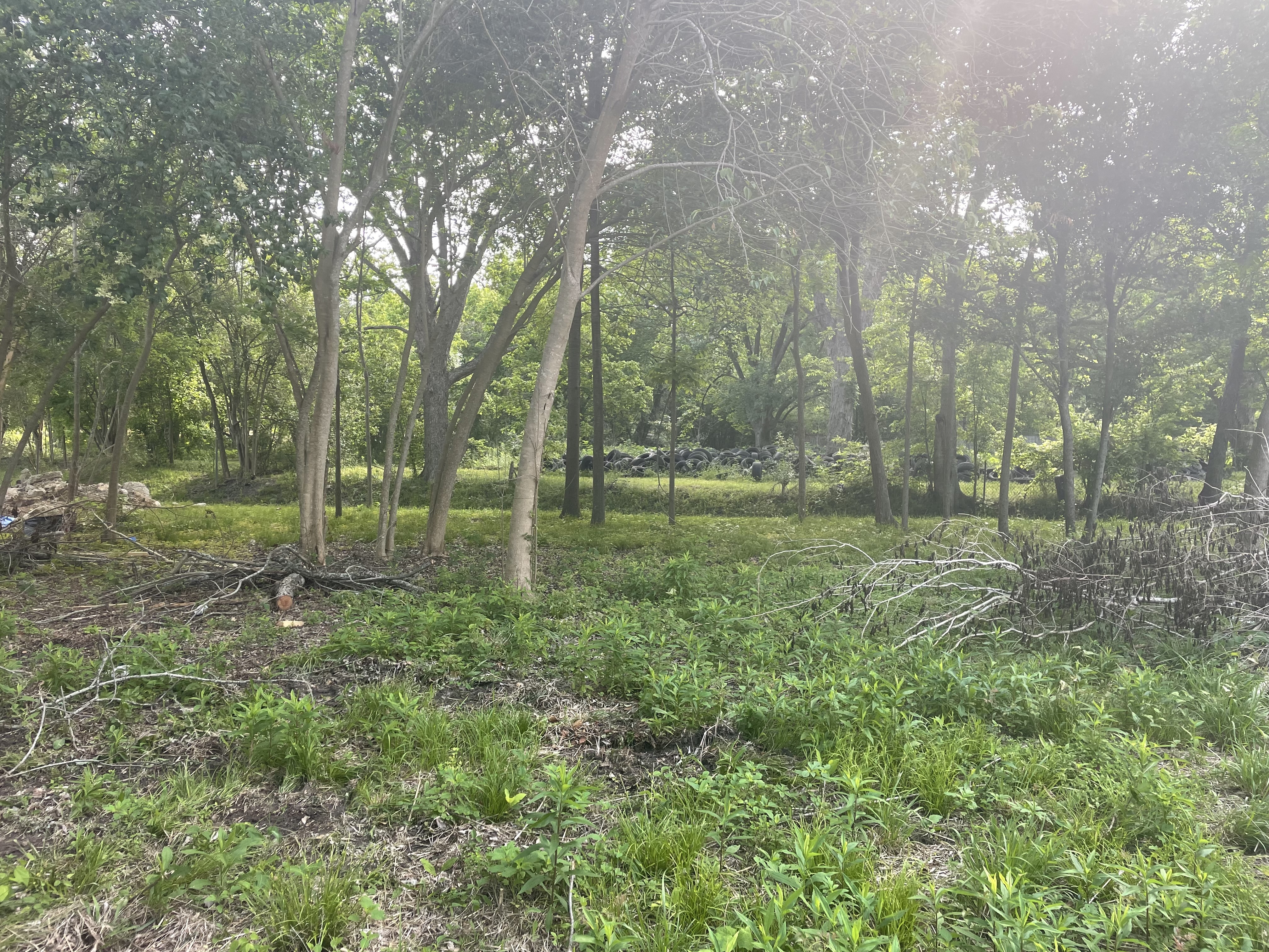 4603 Baton Rouge Street Houston, TX 77028