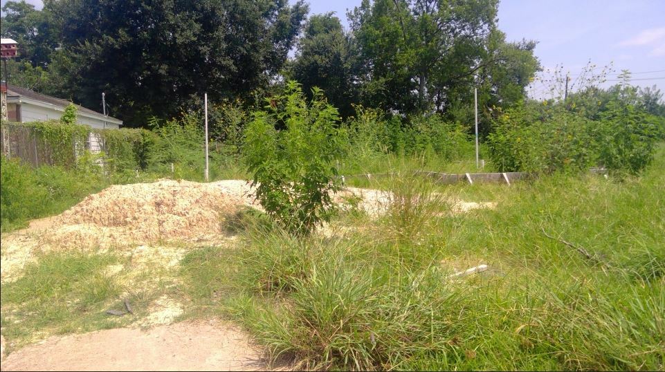 8783 Othello Street Houston, TX 77029