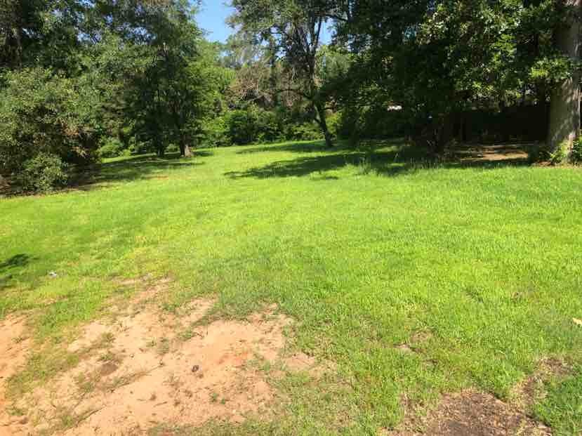 127 Sidney Street Longview, TX 75602 photo 3