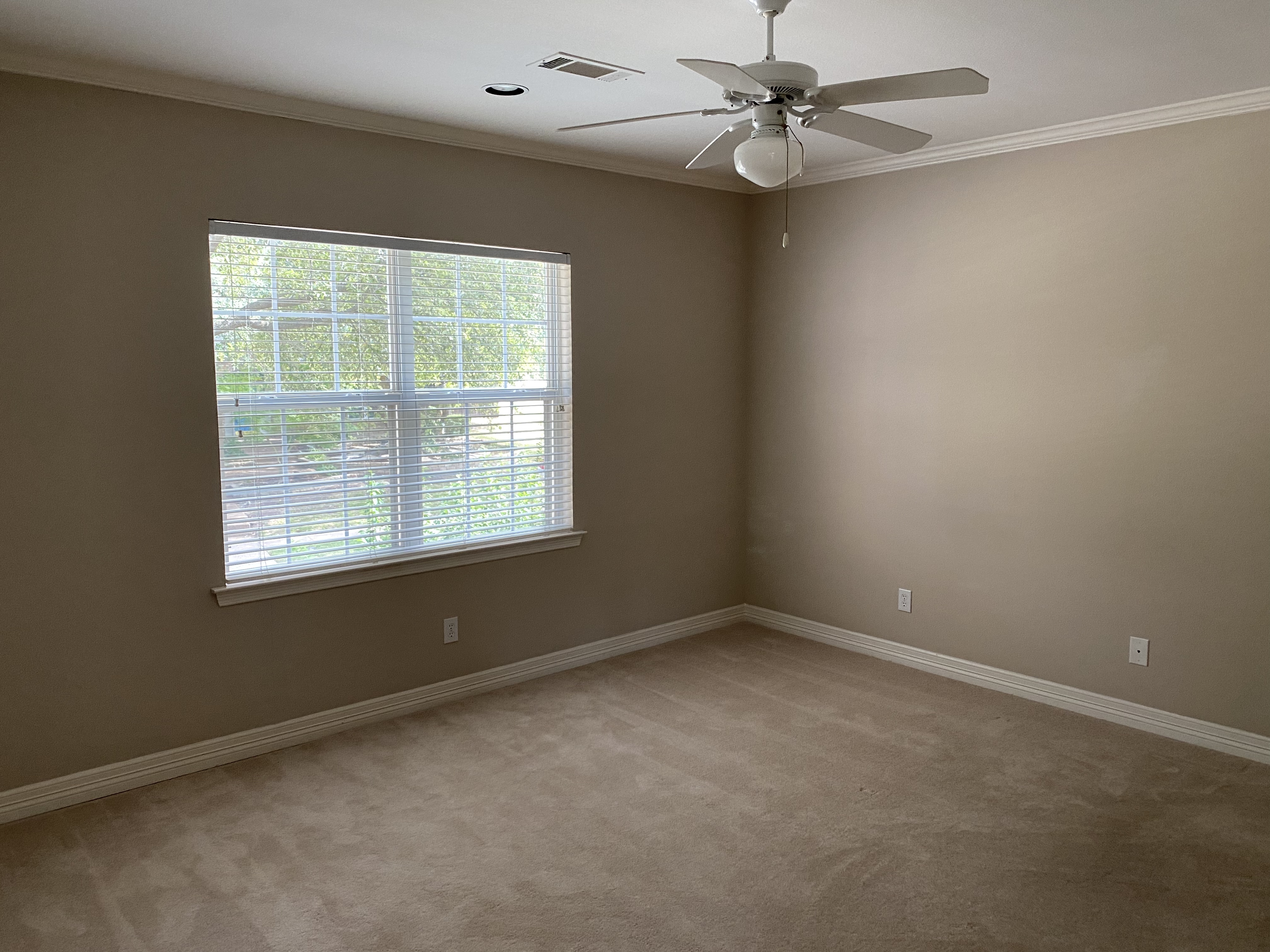 2605 Tulip Drive Richardson, TX 75082 photo 27