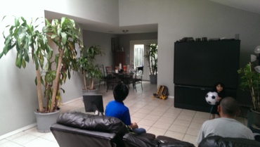 Photo 24