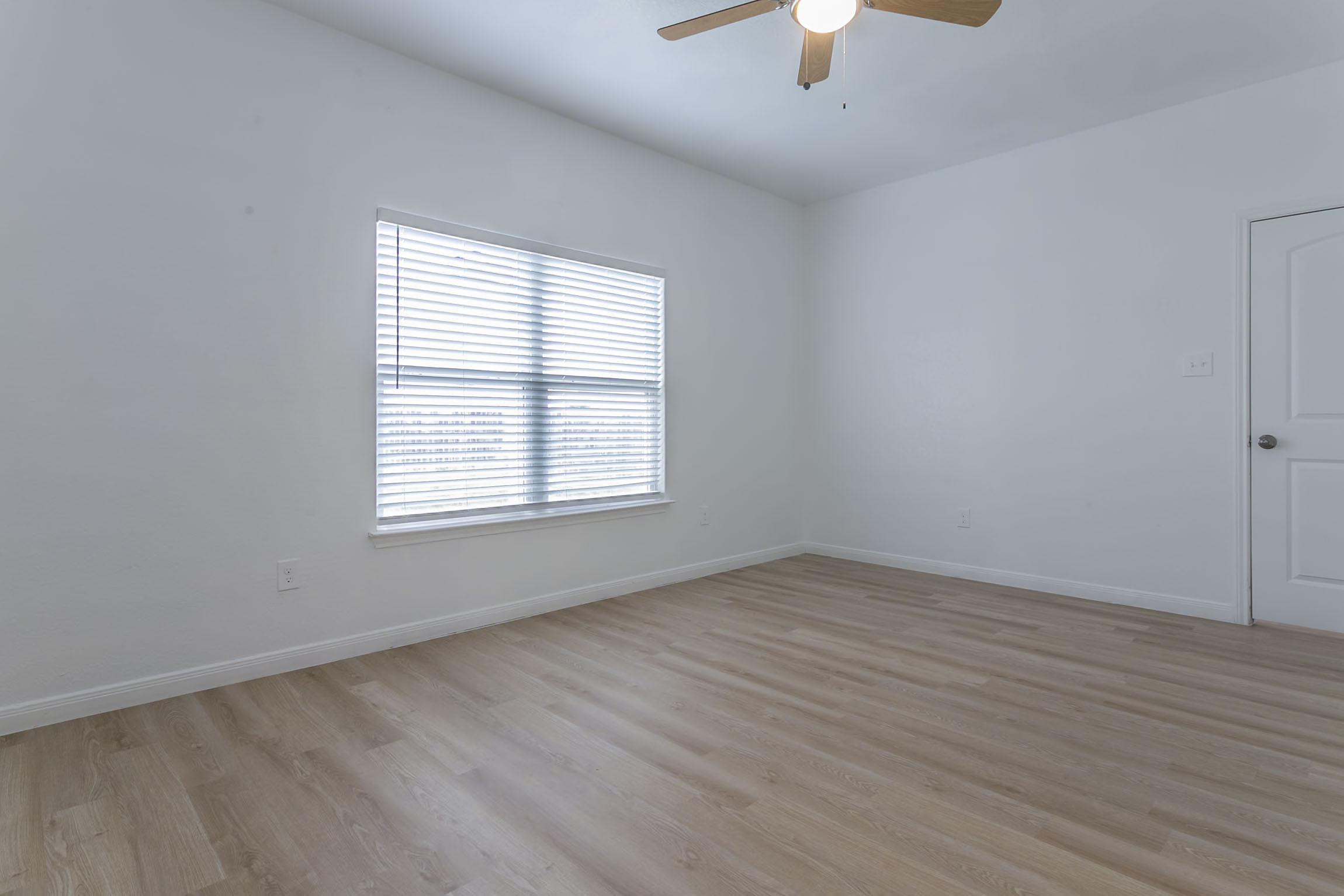8025 Bluewater Cove San Antonio, TX 78254 photo 15