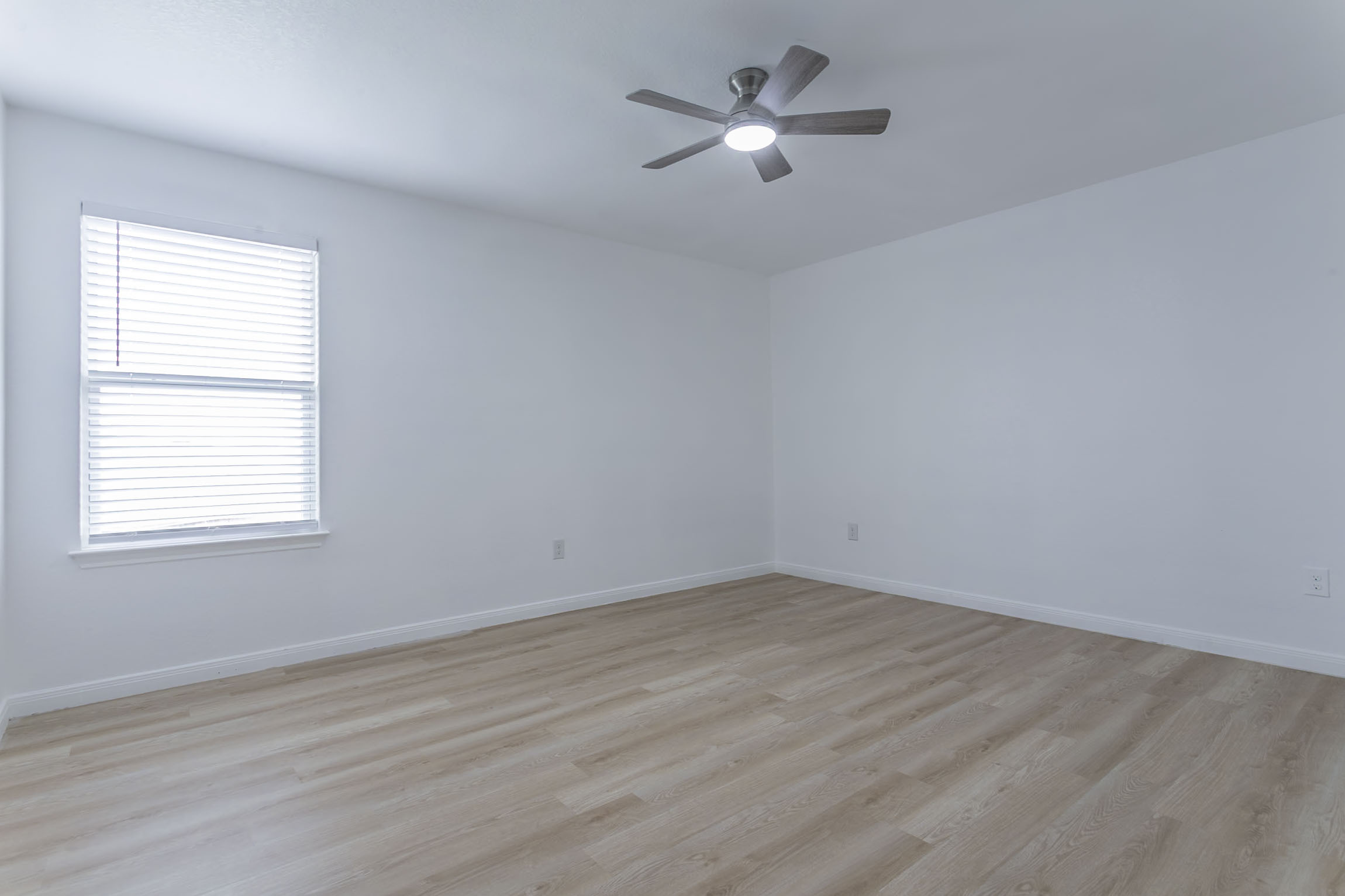 8025 Bluewater Cove San Antonio, TX 78254 photo 16