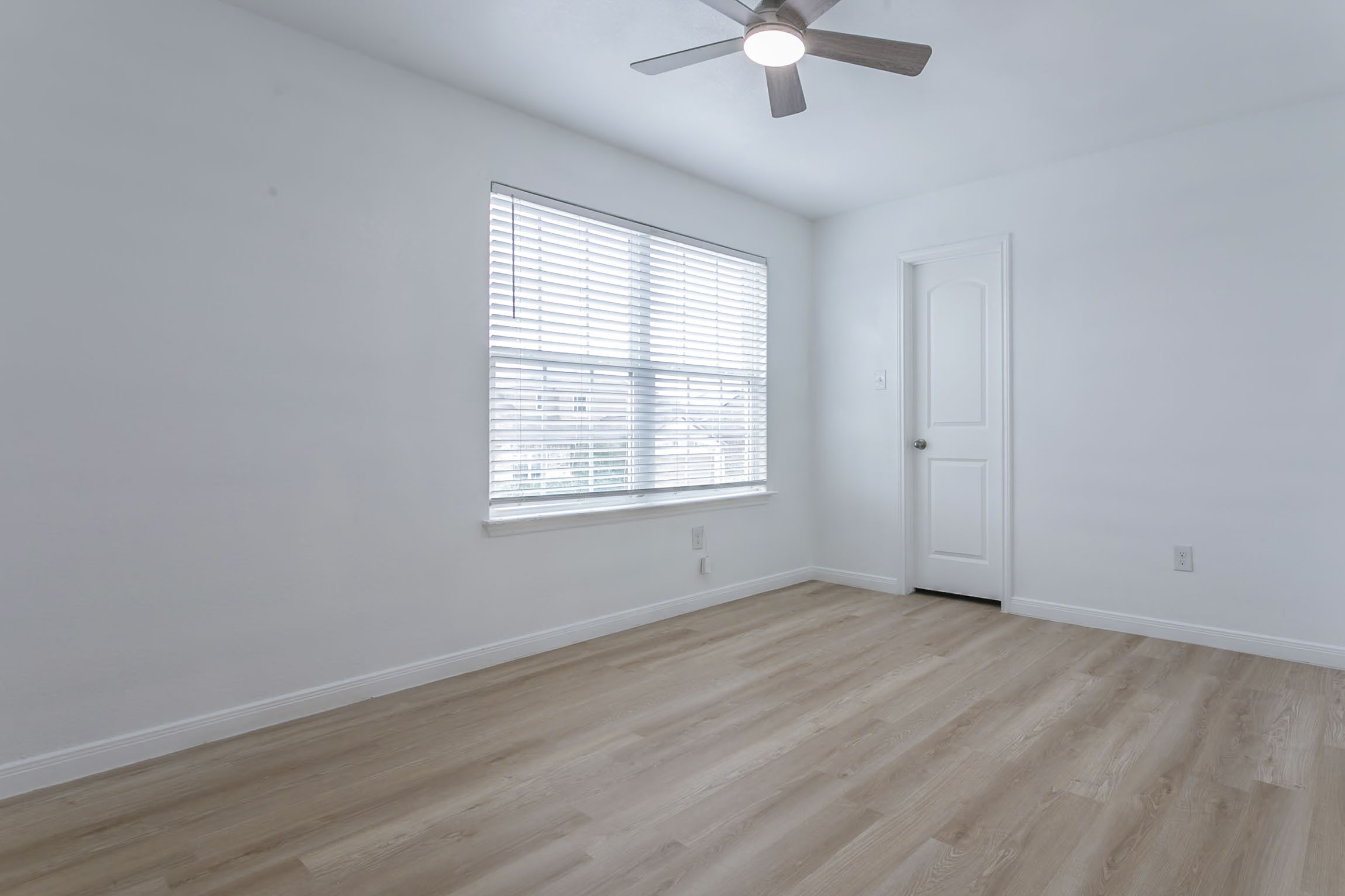 8025 Bluewater Cove San Antonio, TX 78254 photo 17
