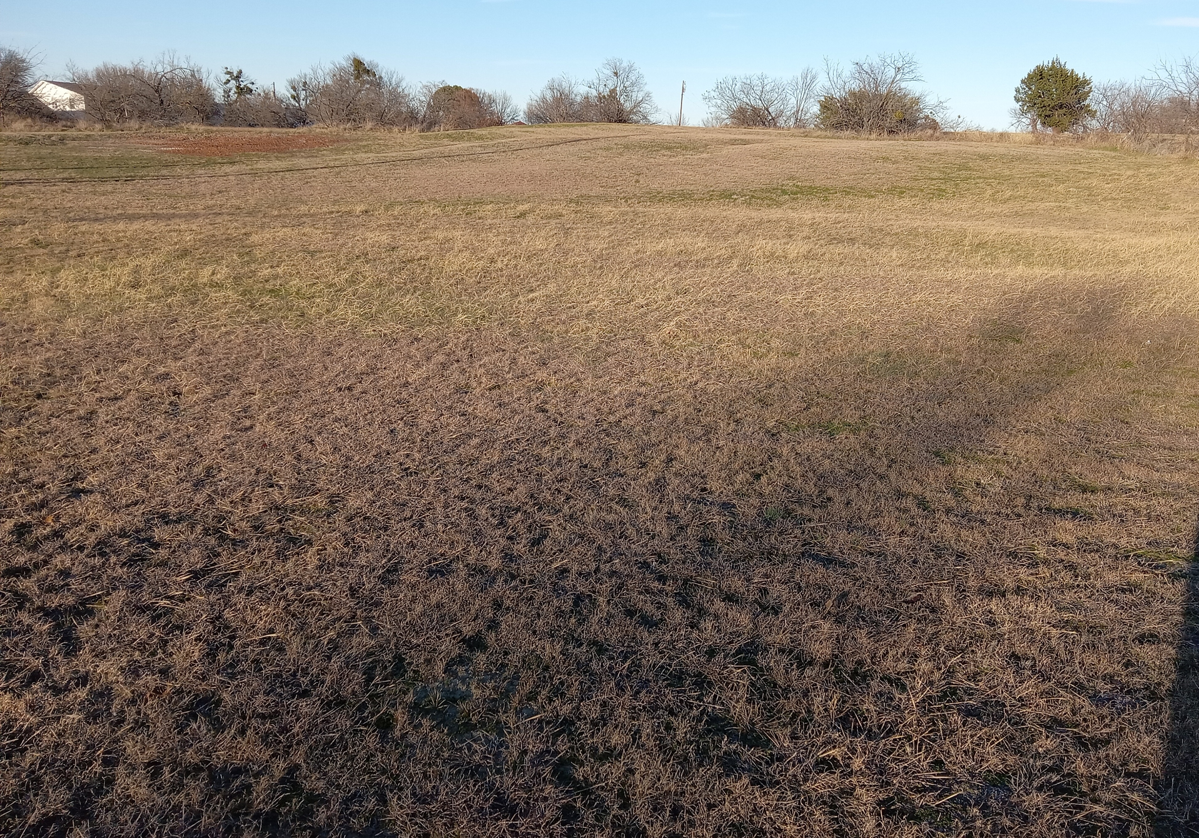 Lakeshore Drive Lot 18 Runaway Bay, TX 76426