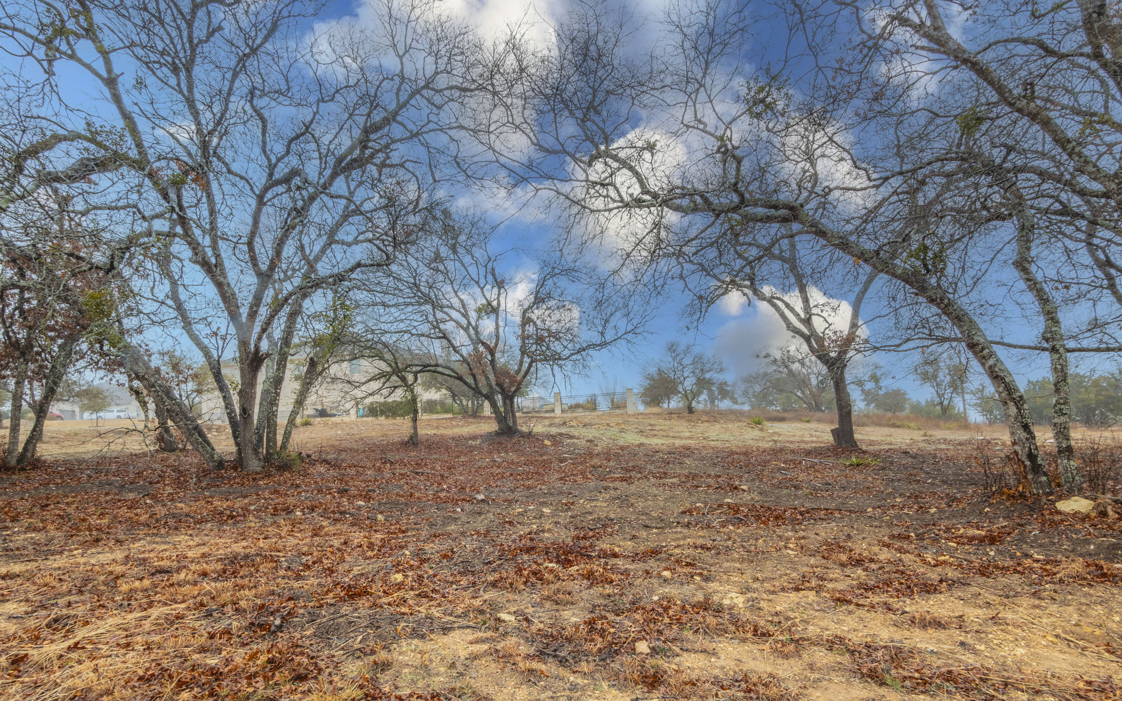 452 Ocate Mesa Trail Liberty Hill, TX 78642 photo 14
