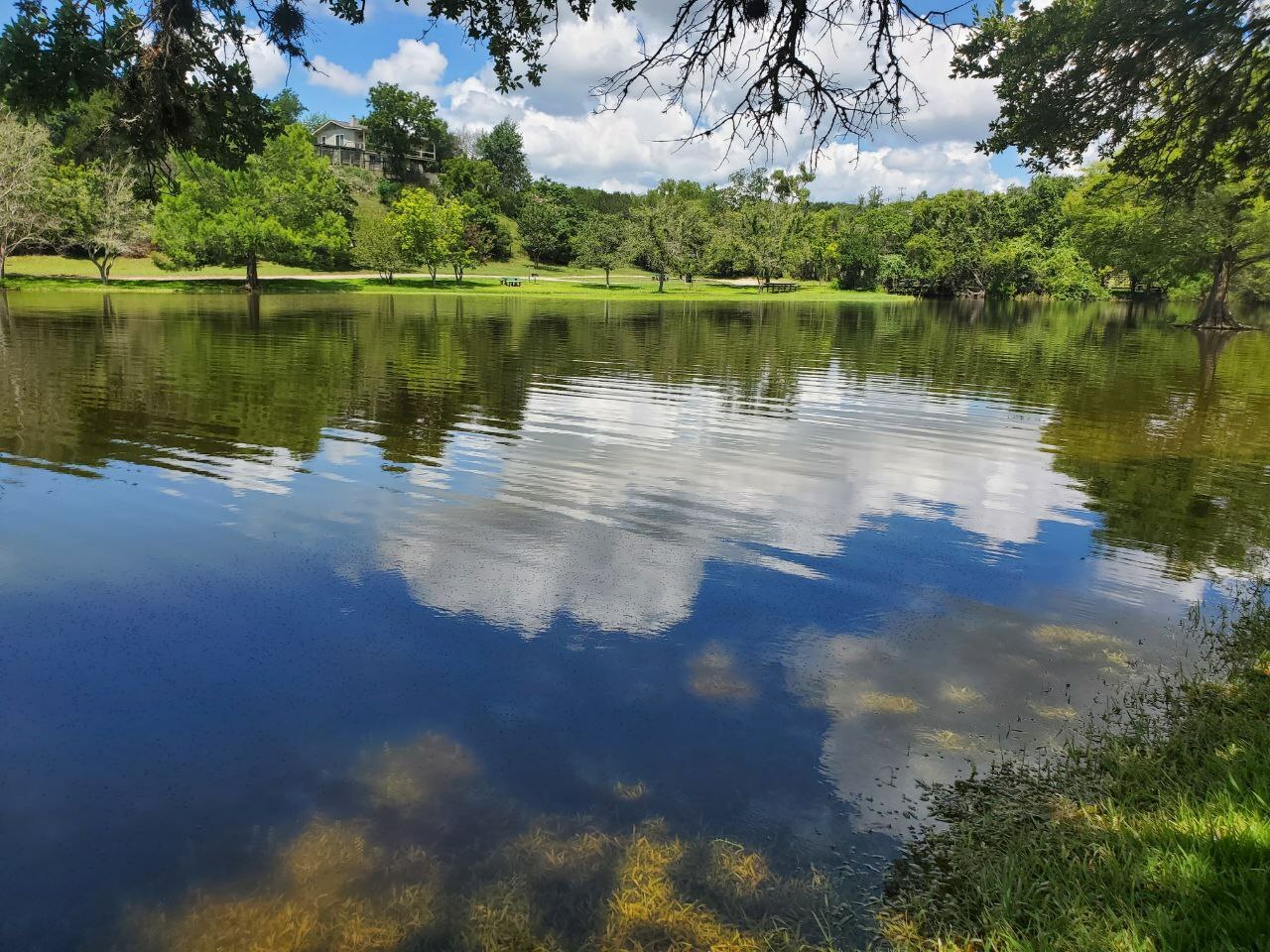 10033 Longhorn Skyway Dripping Springs, TX 78620 photo 40