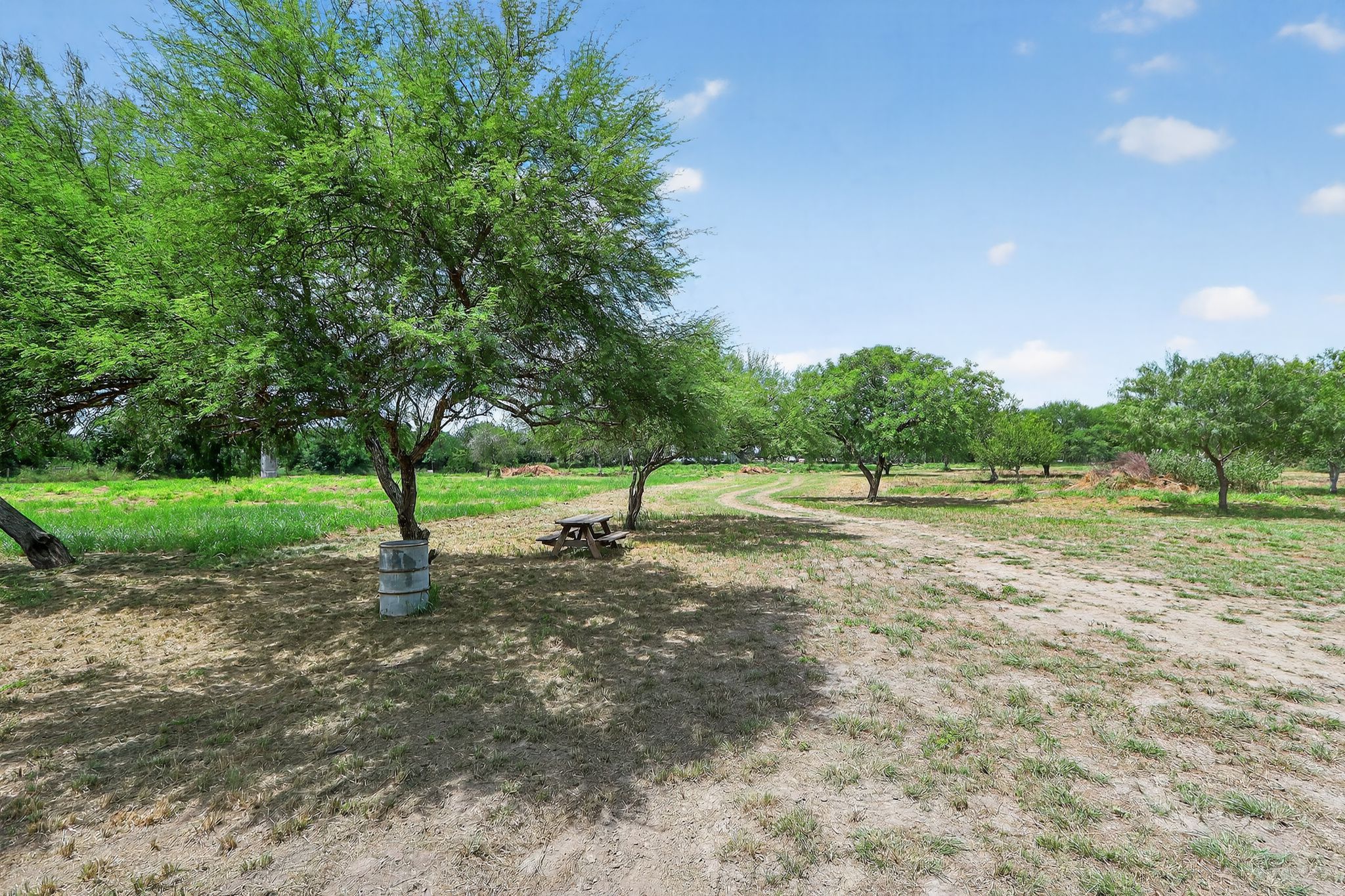 3005 South Palm Court Drive Harlingen, TX 78552 photo 4