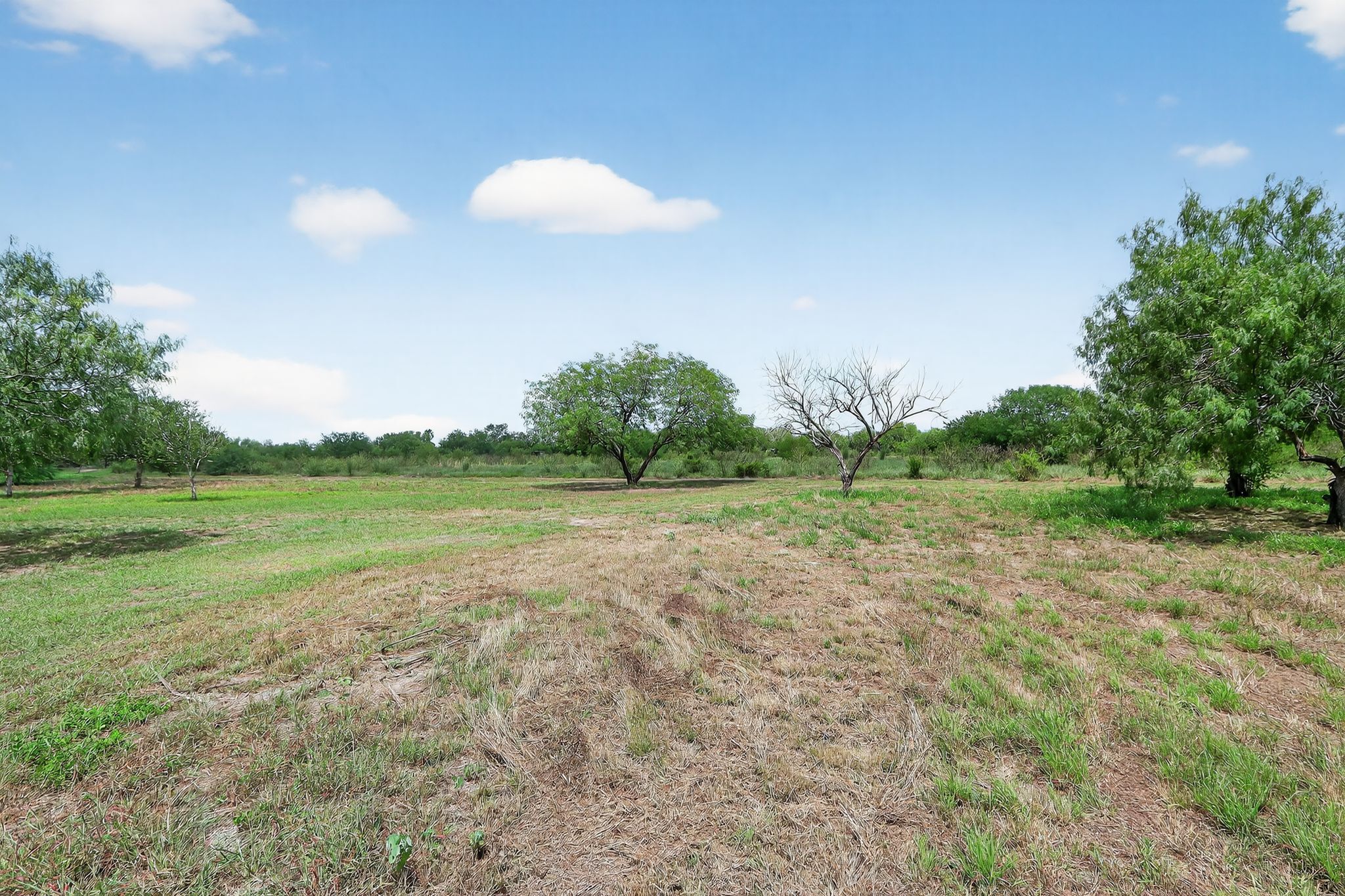 3005 South Palm Court Drive Harlingen, TX 78552 photo 6
