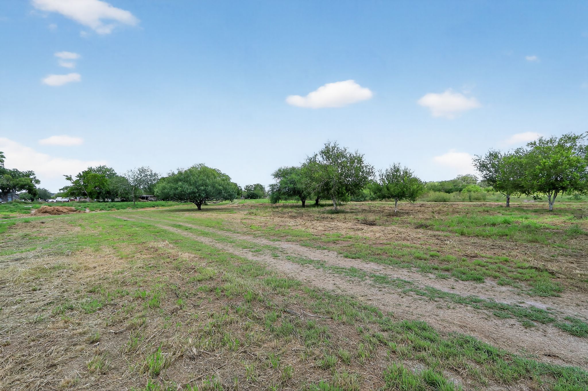 3005 South Palm Court Drive Harlingen, TX 78552 photo 5
