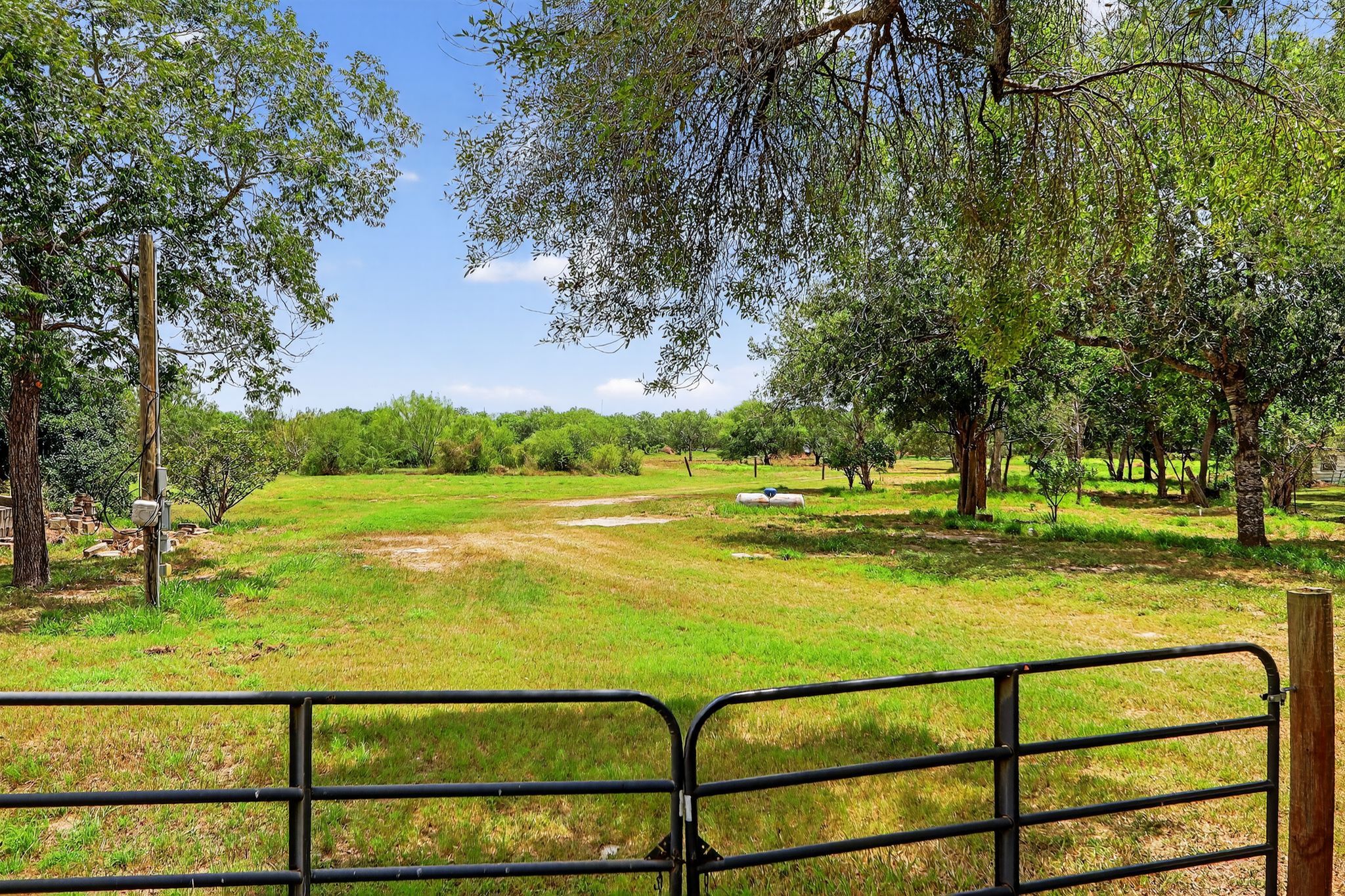 3005 South Palm Court Drive Harlingen, TX 78552 photo 3
