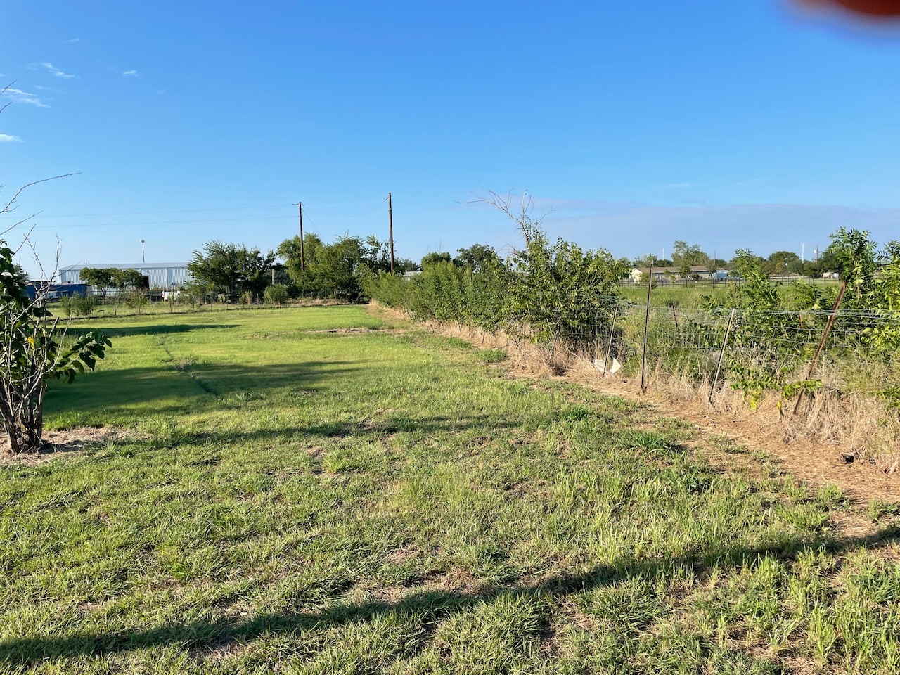 18636 Doubletree Drive Justin, TX 76247 photo 31