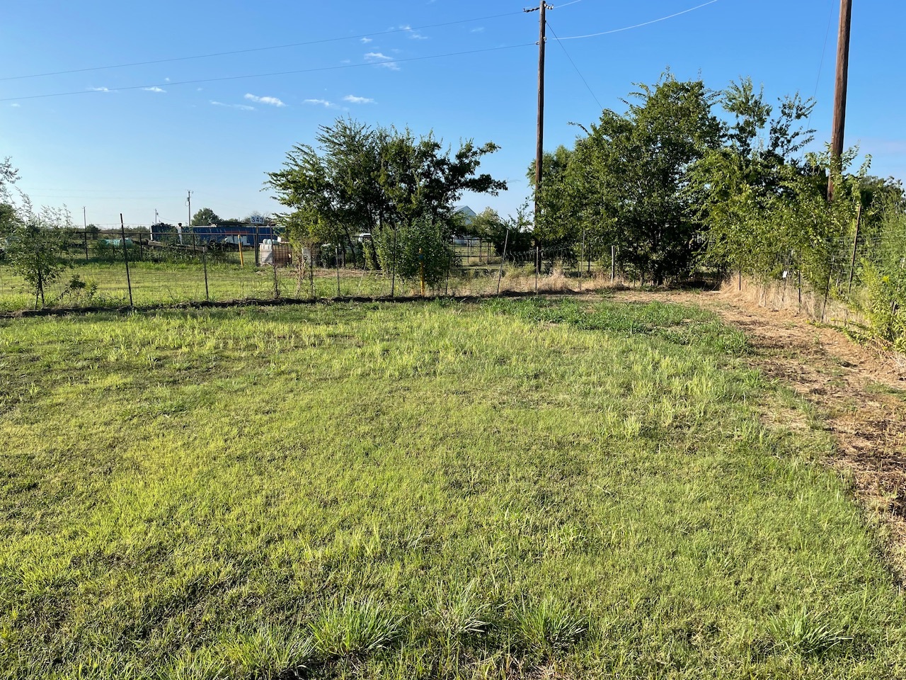 18636 Doubletree Drive Justin, TX 76247 photo 32