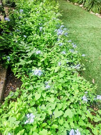 Photo 37