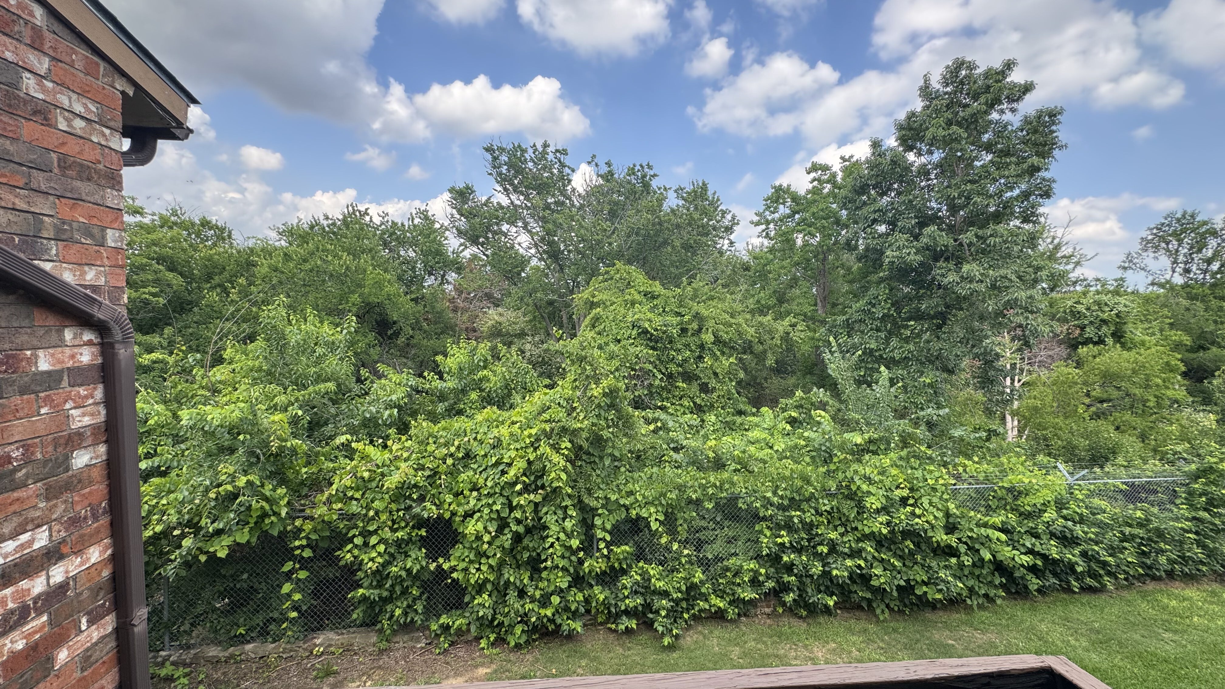 12484 Abrams Road 2121 Dallas, TX 75243 photo 25