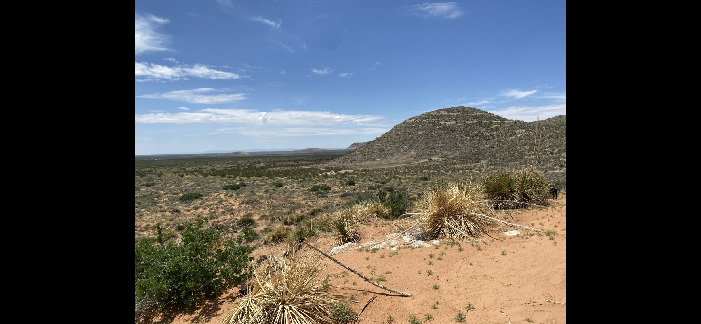 84310 El Paso, TX 79938
