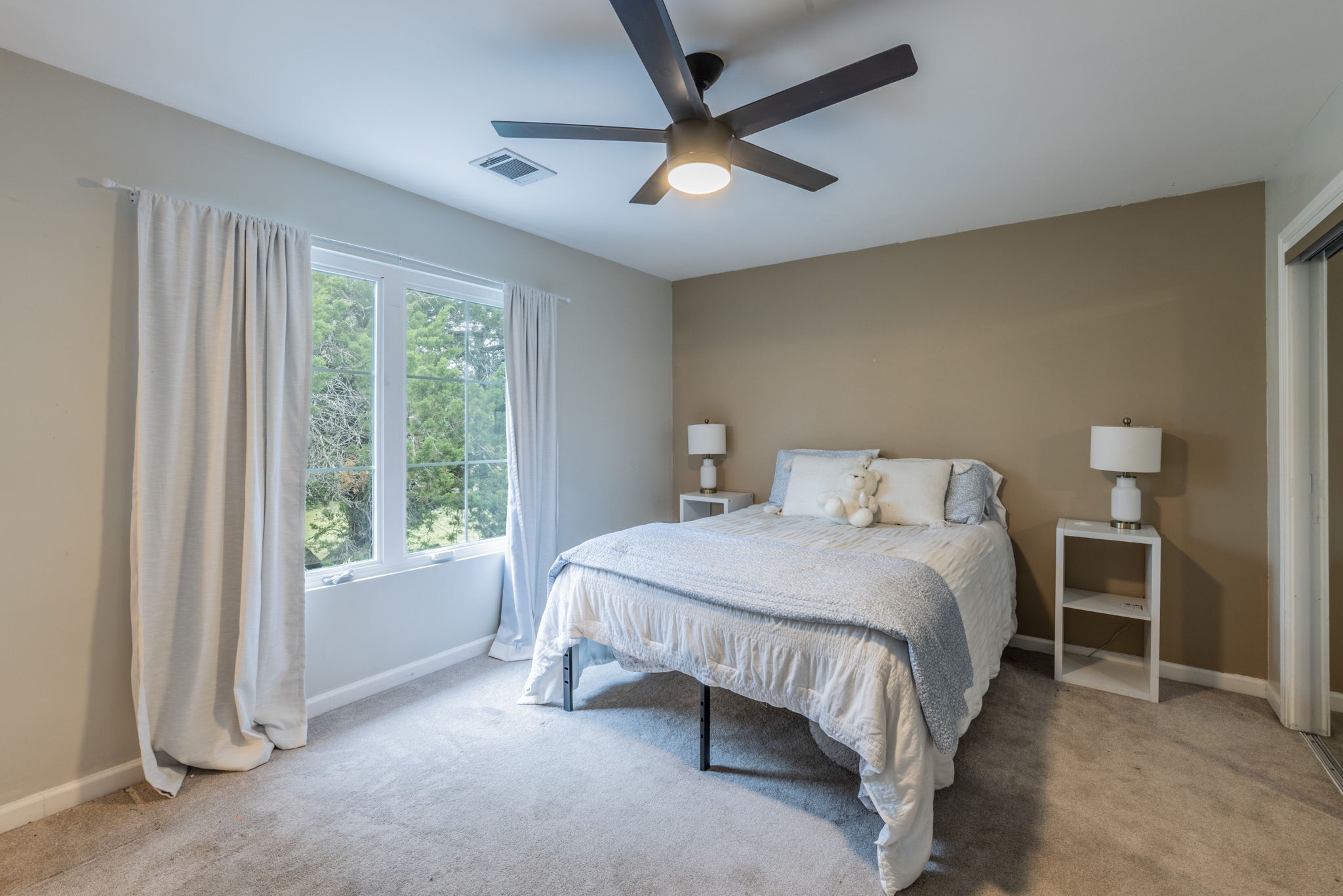 411 Carriage Oaks Drive Liberty Hill, TX 78642 photo 9
