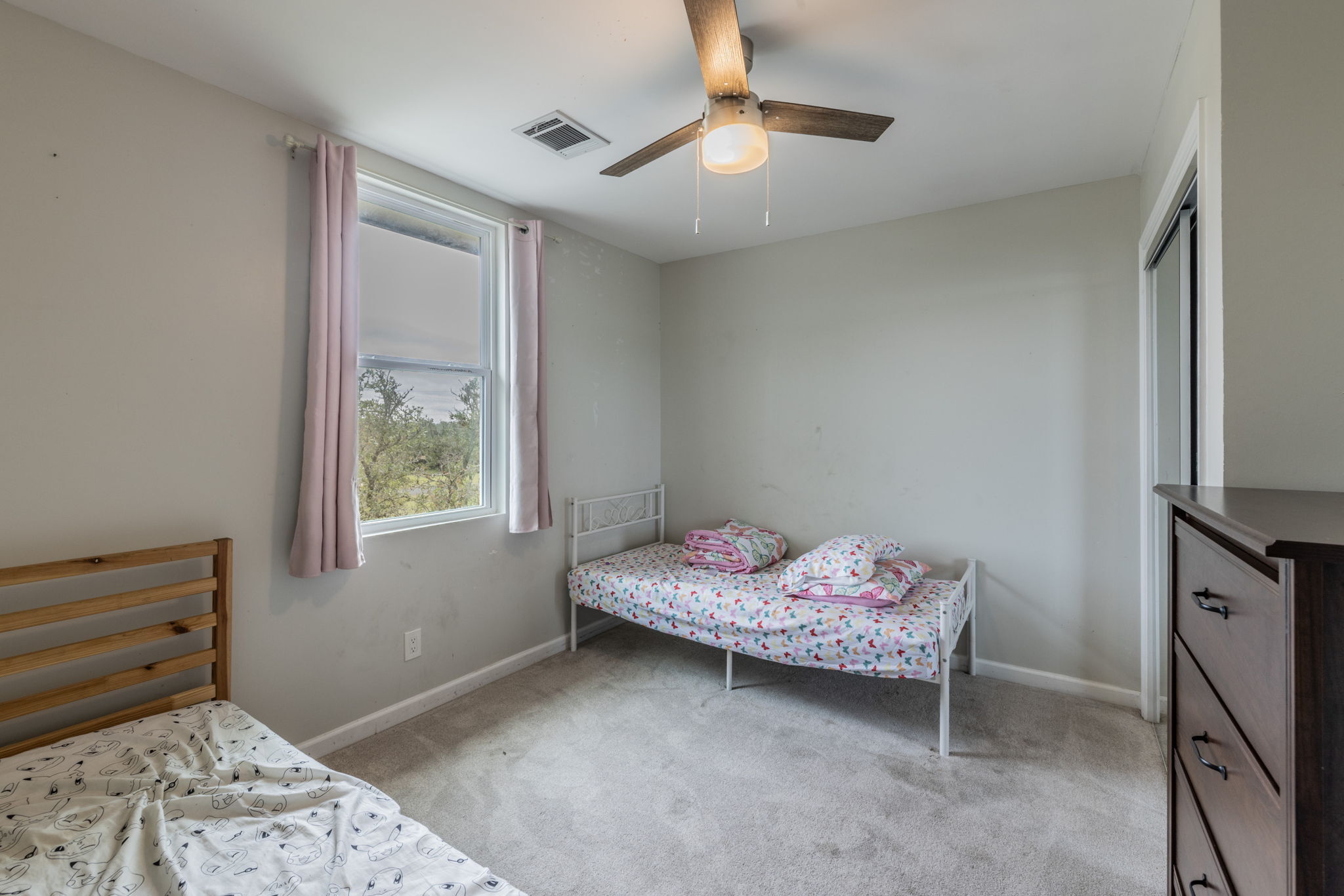 411 Carriage Oaks Drive Liberty Hill, TX 78642 photo 20