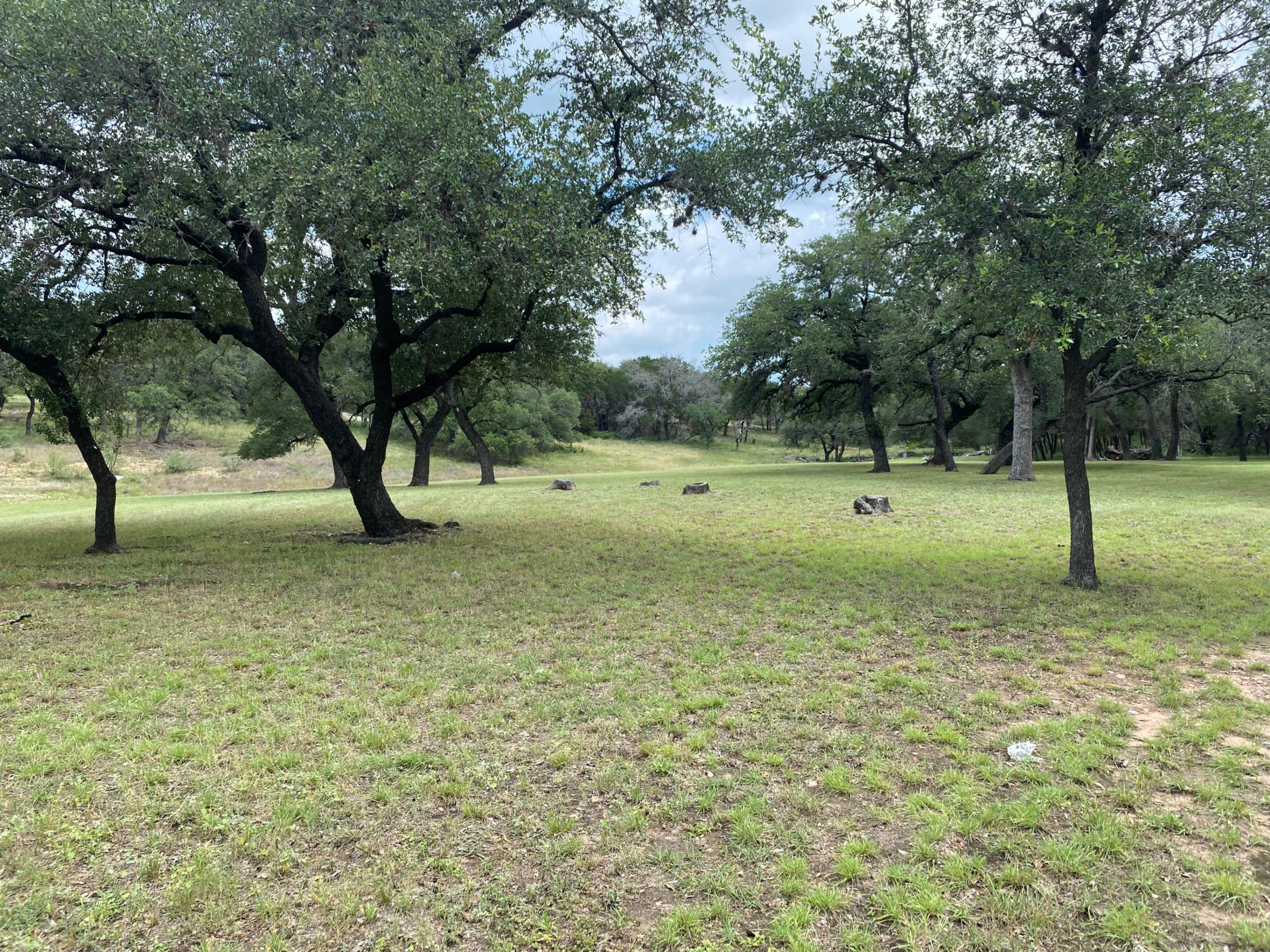 1300 Gold Lane Lago Vista, TX 78645 photo 6