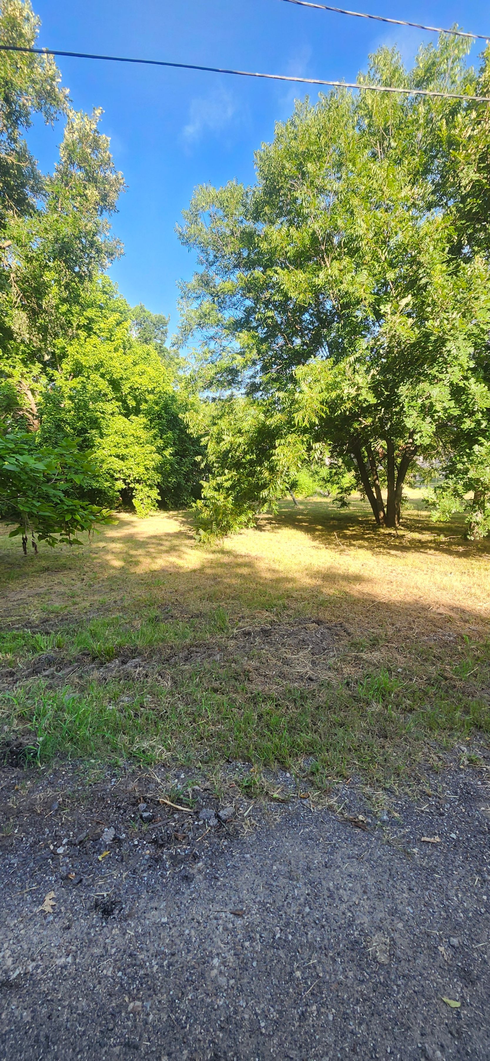 1212 Saint John Street Greenville, TX 75401