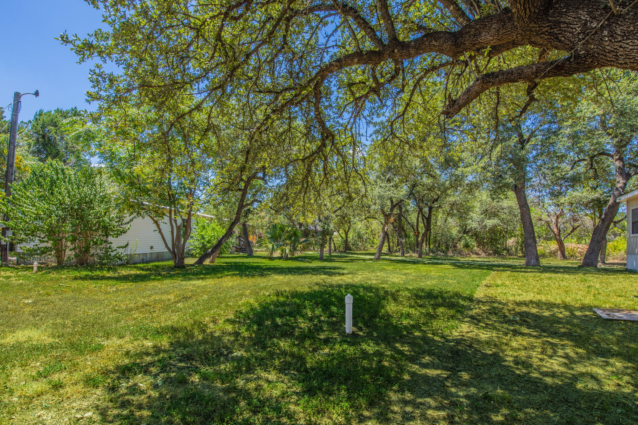 1808 Falcon Oaks Drive Leander, TX 78641 photo 32